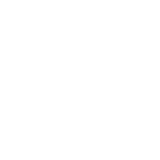 LinkedIn Logo