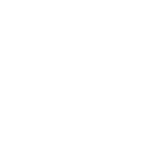 Telephone Icon